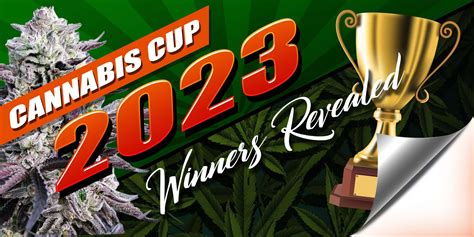 Cannabis Cup 2023 Winners Revealed! - Rocket Seeds