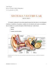 Sistema Vestibular Pdf Alan Rangel Profesor Jennifer Salgado