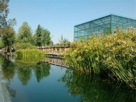 Chinampas in Mexico City | Landscape, Ecology, Ancient aztecs