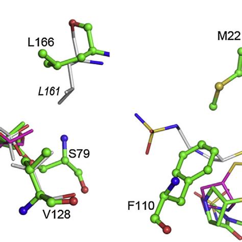 Stereoview Of The Superposition Of The Acyl Enzyme Intermediate In