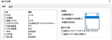 如何配置vmware虚拟机中的处理器 Hi Sannaha