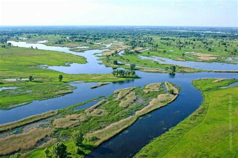 На Полтавщині горів ландшафтний заказник Білецьківські плавні. ФОТО ...