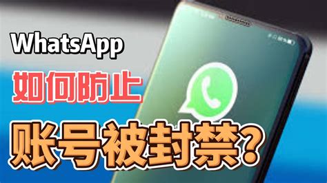 Whatsapp如何防止账号被封禁？五个小妙招教你避免whatsapp账号被封 Whatsapp防止被封 Whatsapp养号技巧