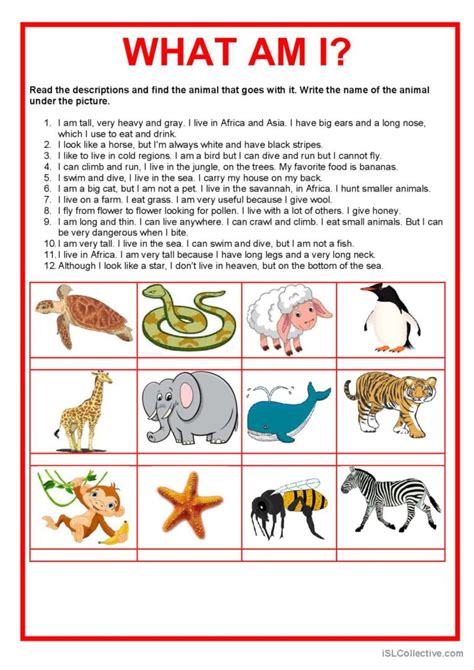 Printable Identifying And Matching Pet Animals Worksheet 53 Off