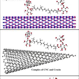 The optimized structure of crocin, crocin radical ([crocin] ), and ...