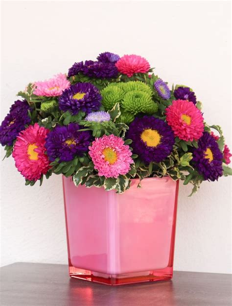 Astonishing Asters | Arrangement