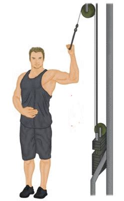 Standing Cable Oblique Crunch