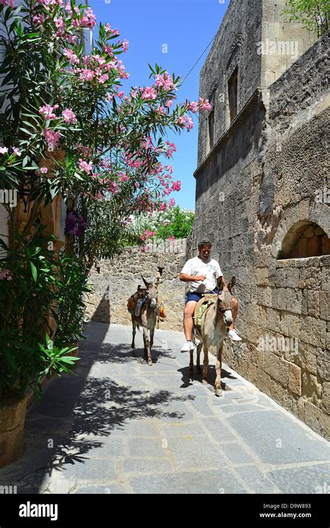 Donkey Rides Up To Acropolis Of Lindos Lindos Rhodes Rodos The