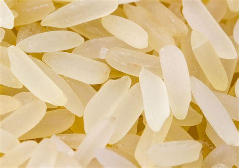 Rice Free Stock Photo - Public Domain Pictures