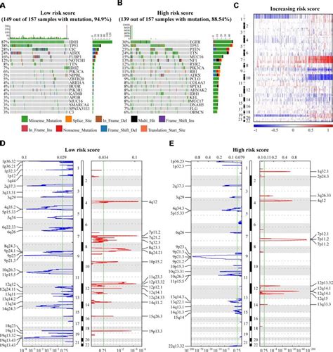 A B The Significantly Mutated Genes In Gliomas Were Assigned To Low