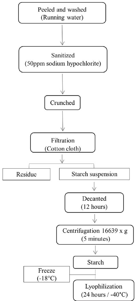 Diagram Of The Starch Extraction Process Download Scientific Diagram