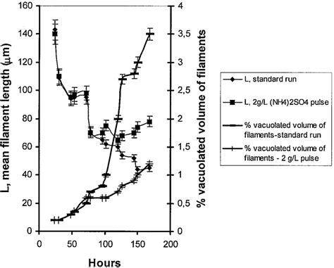 The Morphological Profile Of Aspergillus Niger Mycelium In The Standard