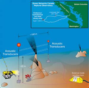 Hydrothermal Vent Diagram - Wiring Diagram Pictures