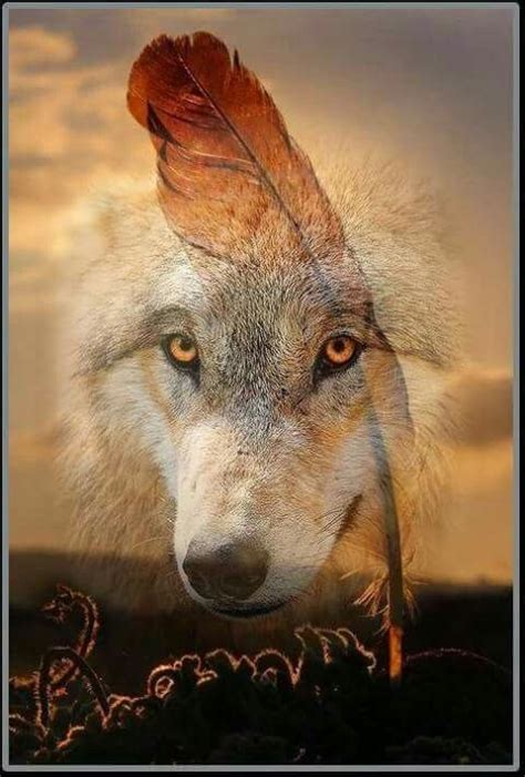 Pin By Morgs Thompson On Quick Saves Wolf Pictures Wolf Images Wolf