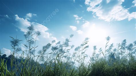 Sky Blue Nature Background, Sky, Blue, Nature Background Image And ...