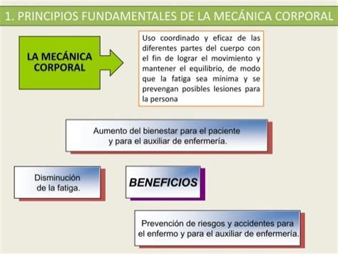 Principios Fundamental