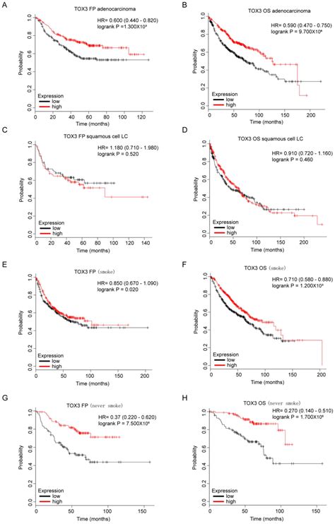 TOX3 is a favorable prognostic indicator and potential immunomodulatory ...