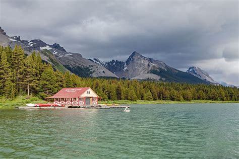 Canada Guide Pratique Et Incontournables De L Ouest Wild Birds