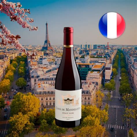 Cour de Mandelotte Pinot Noir 2019 | Center Gourmet Vinhos e ...