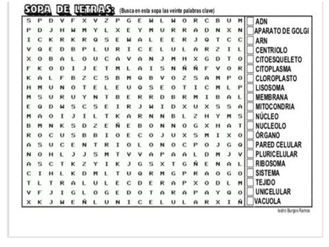 Sopa De Letras Tema Celula Brainlylat