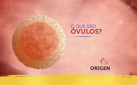 O que são óvulos Clínica Origen Fertilização in Vitro