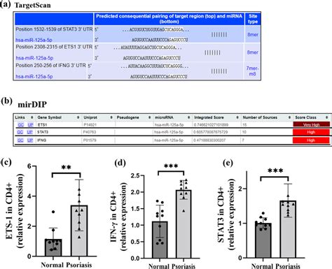 Upregulated Expression Of Mir A P Targets Ets Ifn And Stat