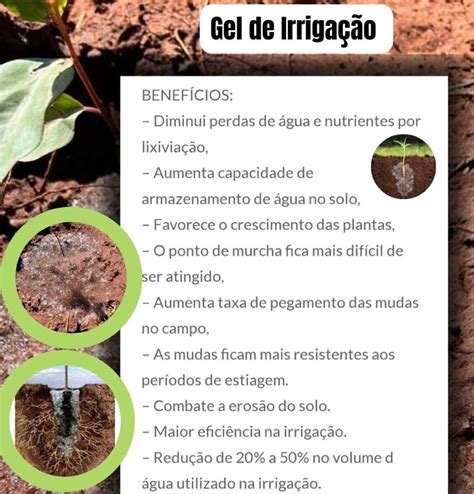 Gr O Forte Fertilizantes Produtos Gr O Forte Fertilizantes