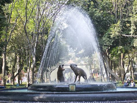 Las Mejores Colonias De La Cdmx