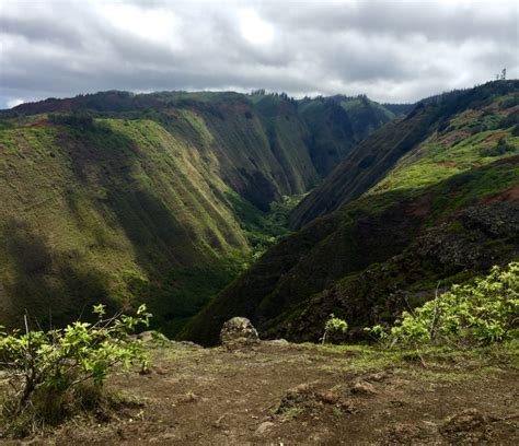 Hiking on Lanai: Koloiki Ridge Trail - HomeyHawaii