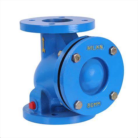 Blue Ci Ball Type Non Return Valve At Best Price In Rajkot Milan