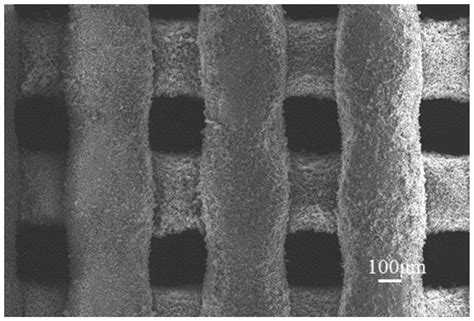 Preparation Method And Application Of Biological Ceramic Scaffold With