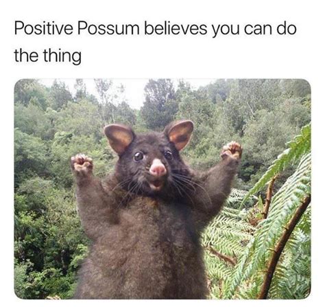 I Believe In You Rwholesomememes Wholesome Memes Know Your Meme