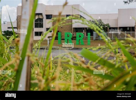 Manila 16th May 2023 The International Rice Research Institute Irri