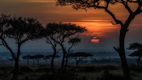 4k Africa Wallpapers - Wallpaper Cave