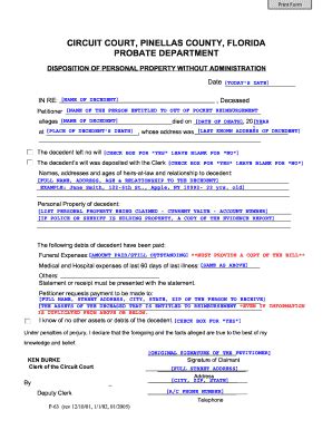 Pinellas County Probate Court - Fill and Sign Printable Template Online