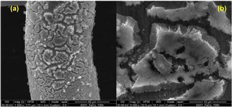 Nanomaterials Free Full Text Ni Fe Co Ldh Coated Porous Transport