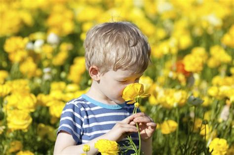 Safe Flowers For Children Hunker