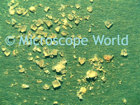 Microscope World Blog: Sugar Crystals under the Microscope