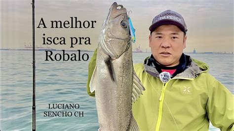 Melhor Isca Pra Robalo Pescaria De Robalo Em Nagoya Com Guia Luciano