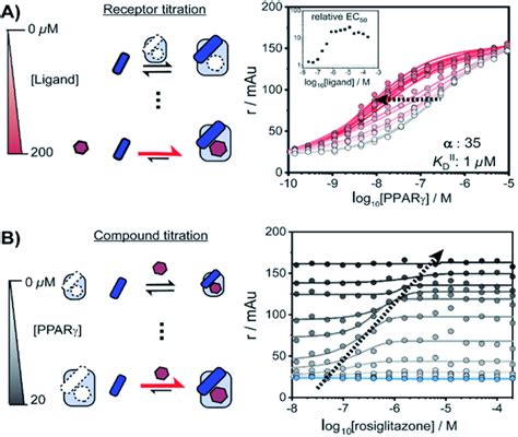 Interplay Of Rosiglitazone And Med1 Binding To Pparγlbd Measured By 2d Download Scientific