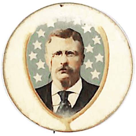 Teddy Roosevelt Campaign Buttons And Pins And Political Memorabilia For