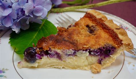 Blueberry Yogurt Pie — Ronnie Fein