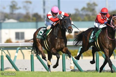 【ファルコンs】魅せた復活の末脚！ダノンマッキンリーが大外一気で快勝 競馬ニュース 競馬ラボ