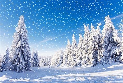 YongFoto 2 2x1 5m Polyester Toile De Fond Noel Paysage Couvert De Neige