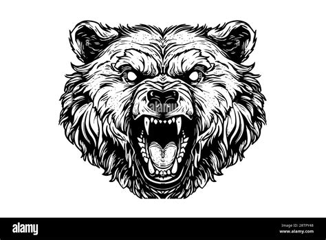 Bear Growling Head Logotype Vector Engraving Style Illustration Stock