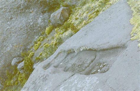 Sitio Arqueológico De Qenqo Recurso Turístico Puno Puno Acora