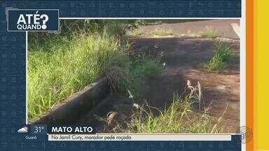 Jornal Da Eptv Edi O Ribeir O Preto At Quando Moradores Pedem