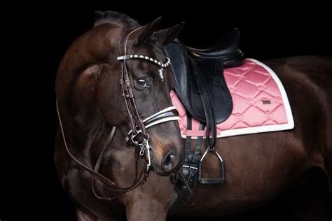 Ps Of Sweden Gp Patent Double Bridle Kc Equestrian Wear