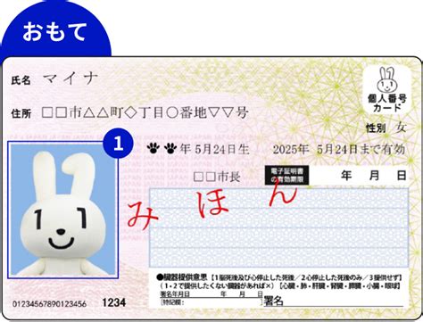 マイナンバーカードの利用シーン｜デジタル庁