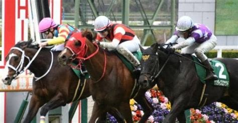 【阪急杯結果】ウインマーベルが大接戦を制し重賞連勝！ その他競技 スポーツブル スポブル